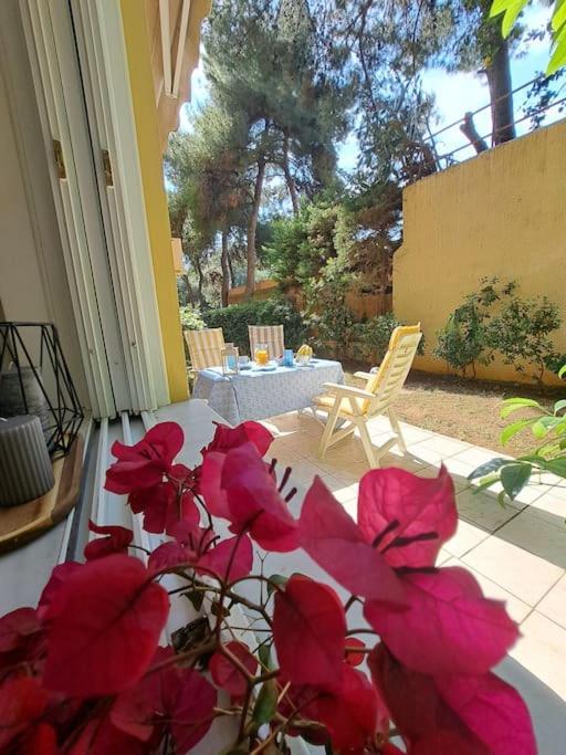 Garden Apartment With Bbq In The Athenian Riviera Atenas Exterior foto